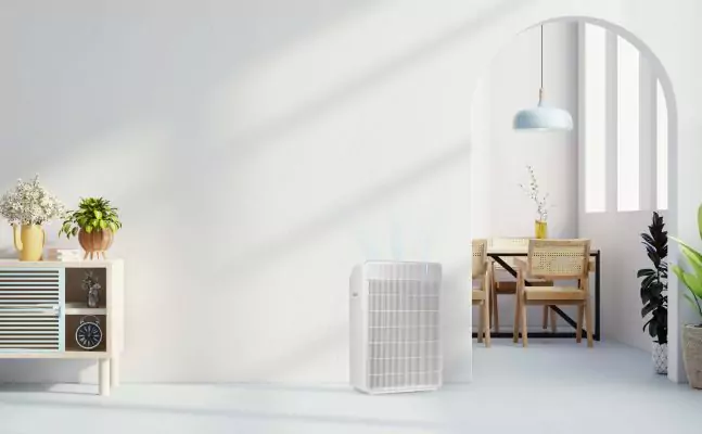 Cuckoo R Model Air Filter